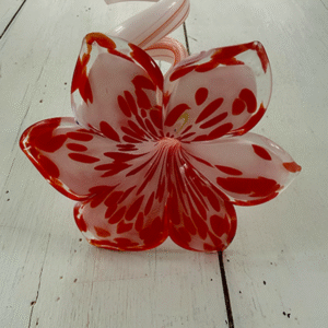 glass-flower-display